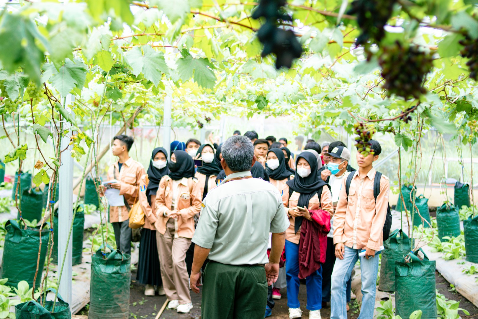 Inovasi Teknologi dalam Agribisnis: Mengoptimalkan Produksi dan Efisiensi