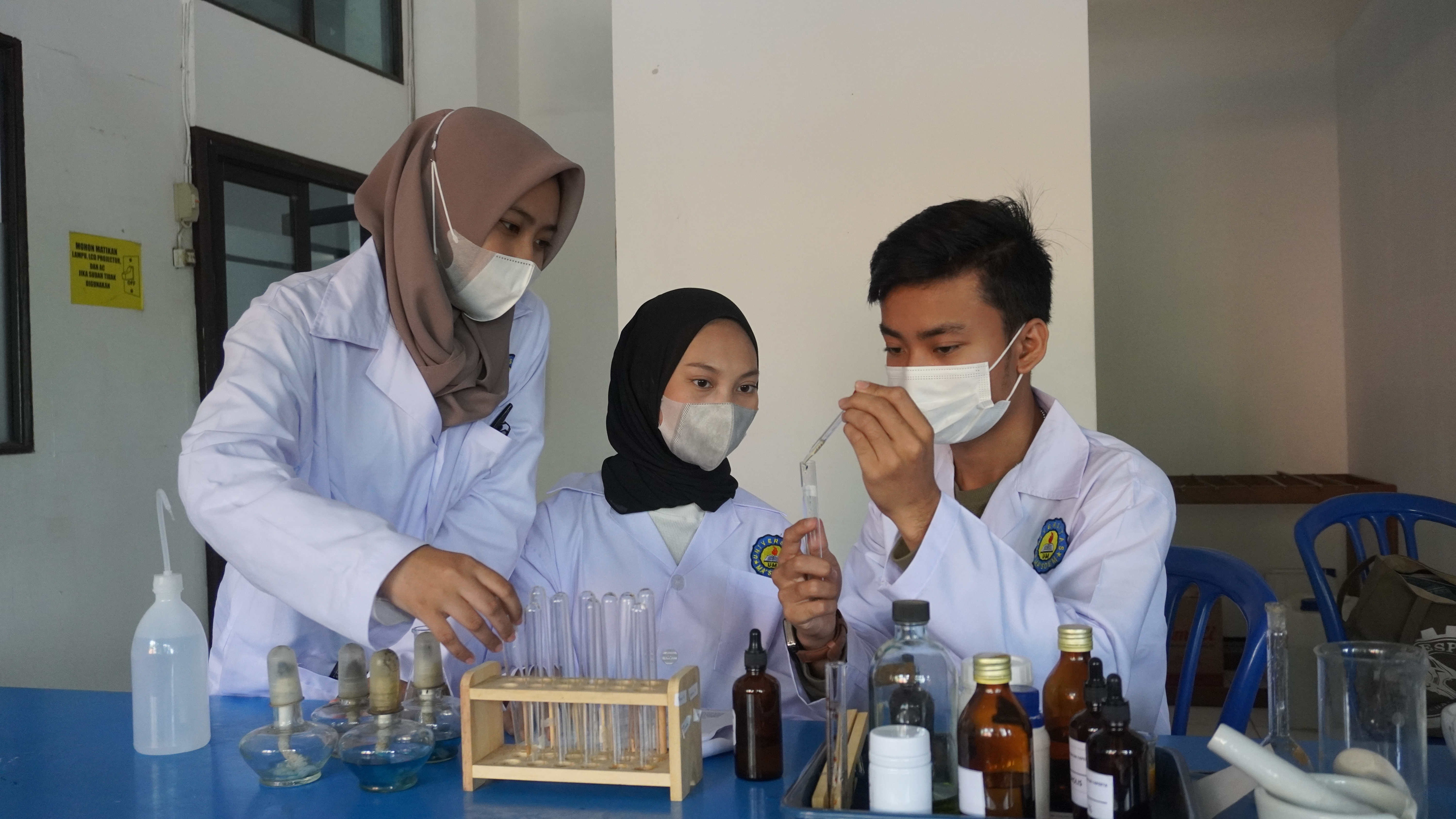 Bagaimana Membangun Networking Efektif di Kampus untuk Karier Impian?
