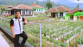 Pertanian Perkotaan - Masa Depan Pertanian Modern
