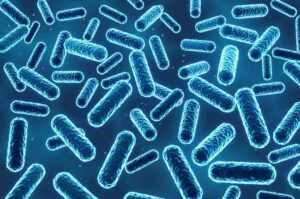 10 jenis bakteri baik bagi tubuh beserta sumbernya