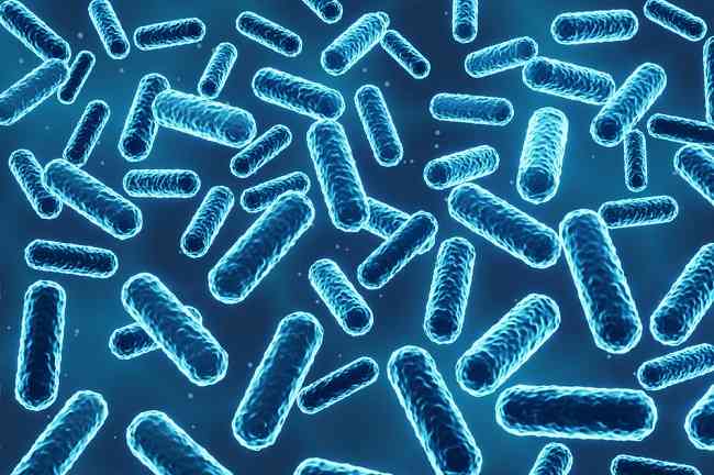 10 jenis bakteri baik bagi tubuh beserta sumbernya