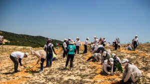 2 20260220 120300 0001.jpg