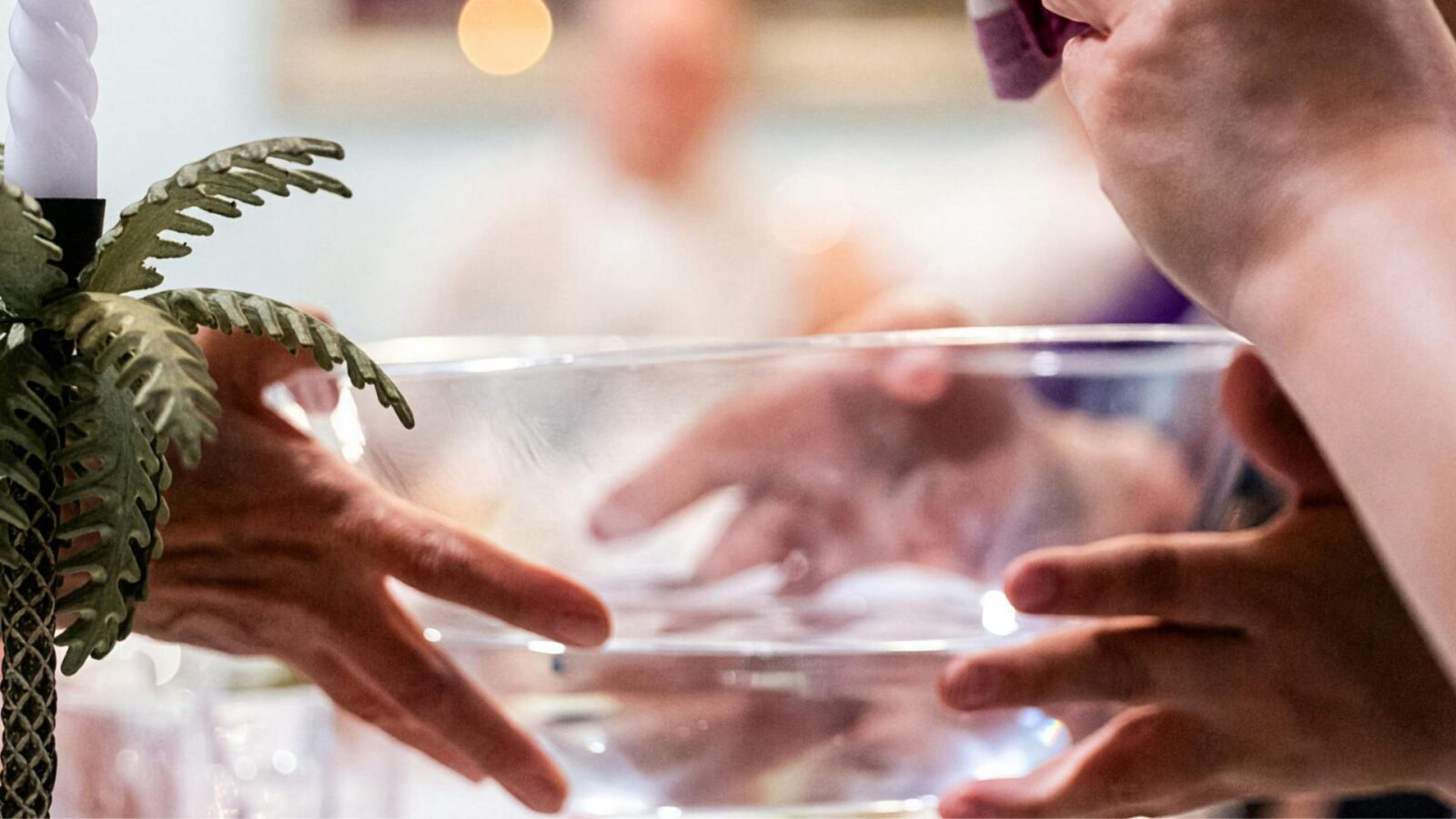 34 20260219 095907 0003.jpg