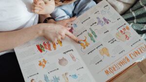 37 20260219 095908 0006.jpg