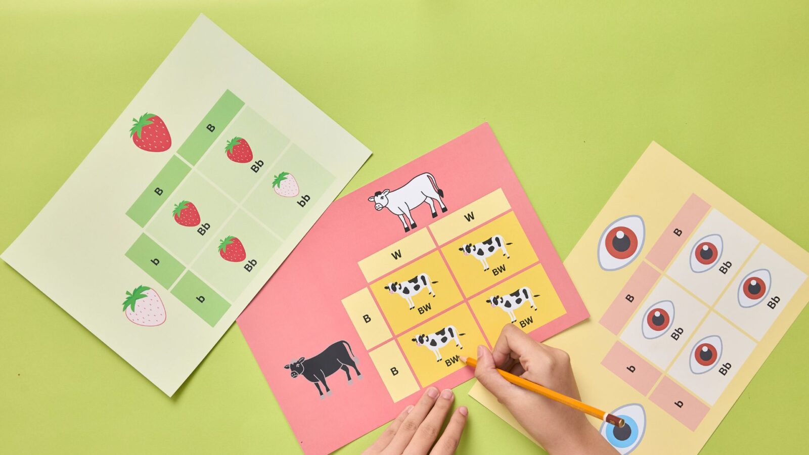 60 20260219 095909 0029.jpg