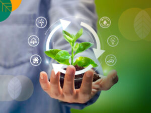 Blog Pertanian Berkelanjutan