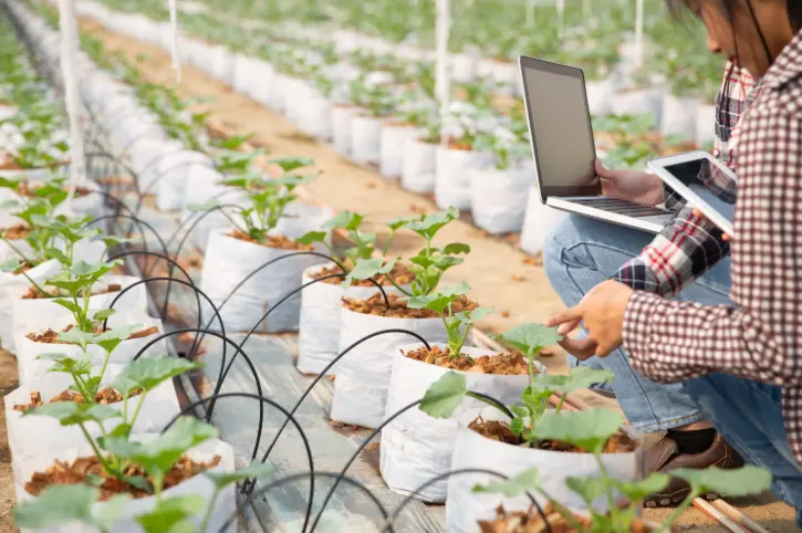 Screenshot 2025 10 09