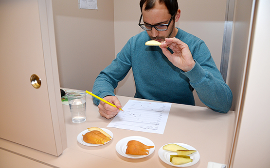 Lebensmittelsensorik pflanzliche lebensmittel birnen