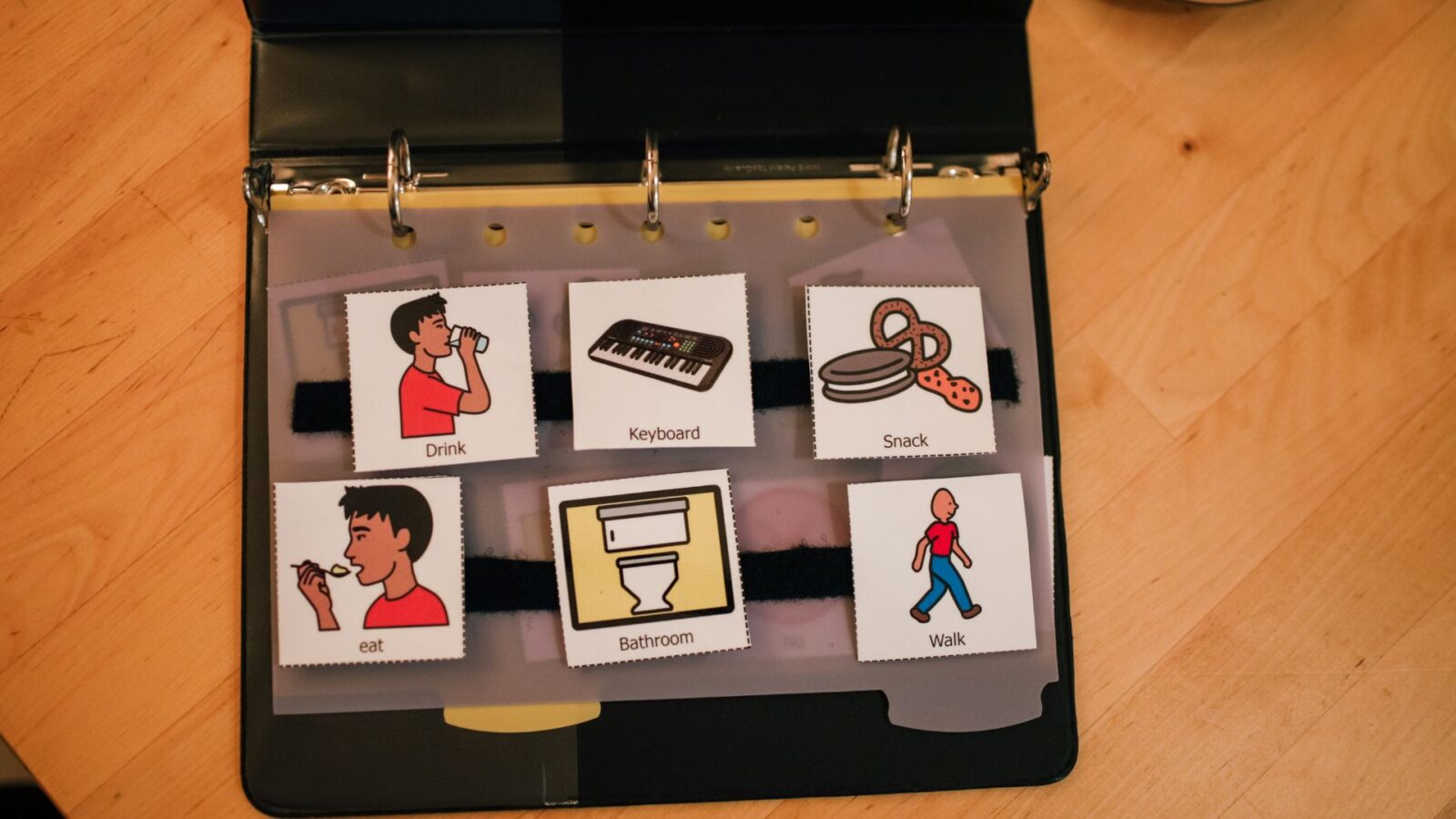 16 20260220 120301 0015.jpg