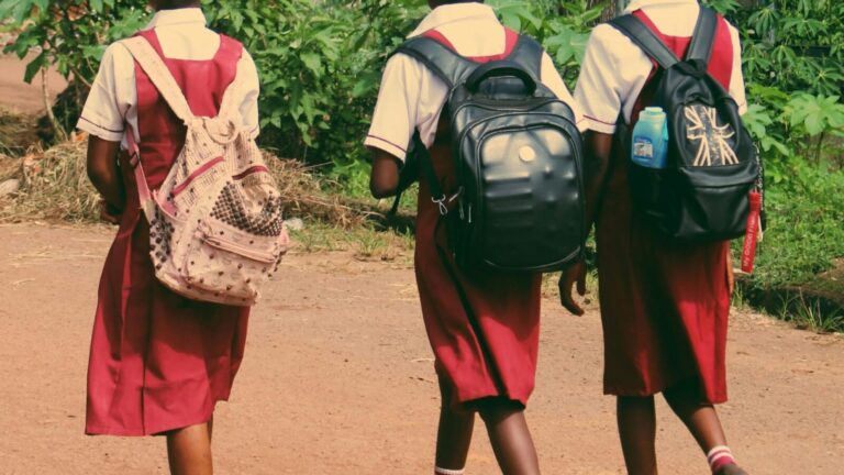 9 20260220 120300 0008.jpg