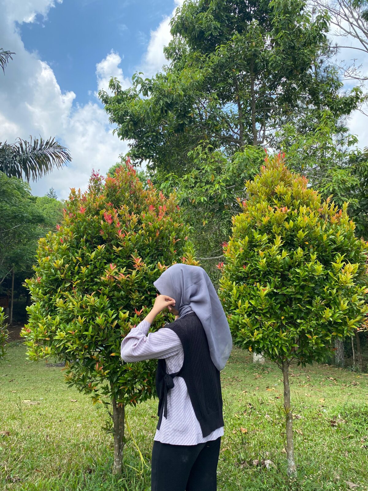 IMG 20240928 WA0031.jpg