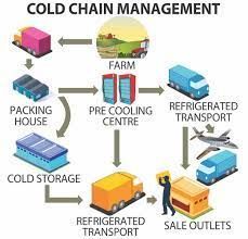 Cold Chain Management: Rahasia Distribusi Produk Makanan dan Obat agar ...