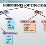 Dc5bc3ef 4735 48f4 a4b6 021b6a93f829 untitled