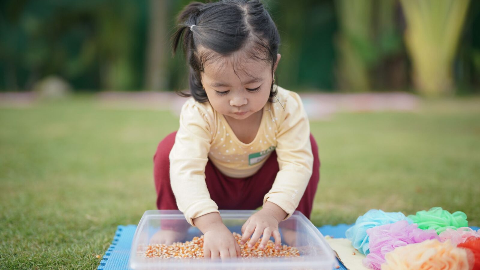 30 20260220 120302 0029.jpg