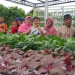 363f0a499749e998 768x363