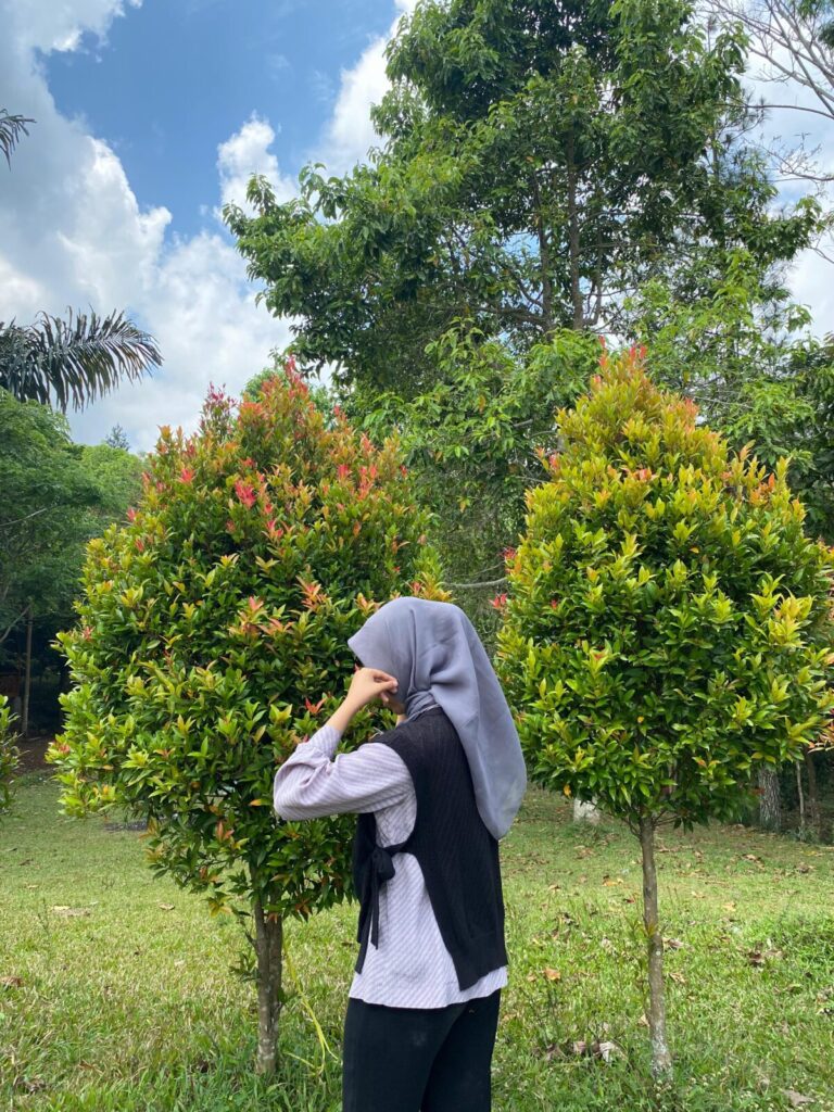 IMG 20240928 WA0031.jpg