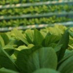 Screenshot 2026 04 15