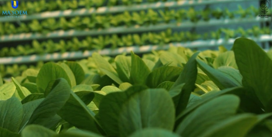 Screenshot 2026 04 15