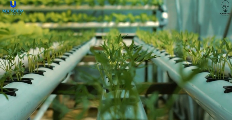 Screenshot 2026 04 15