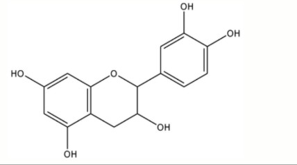 Screenshot 2026 04 16