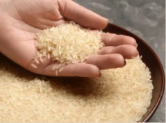 Screenshot 2026 04 16