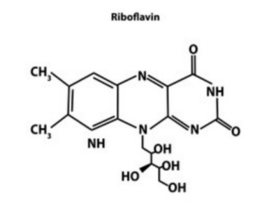 struktur riboflavin