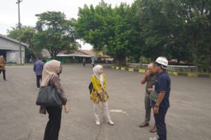 WhatsApp Image 2026 03 17 at 00.08.00