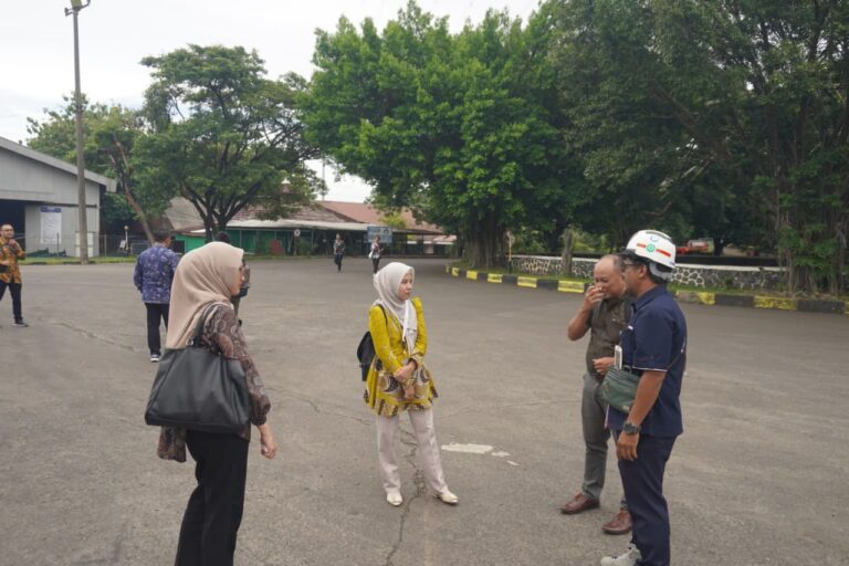 WhatsApp Image 2026 03 17 at 00.08.00