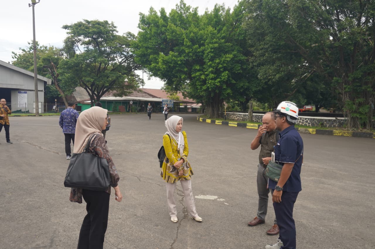 WhatsApp Image 2026 03 17 at 00.08.00