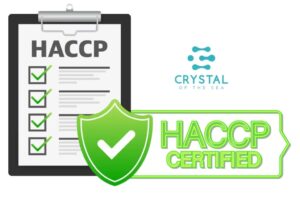 WhatsApp Image 2026 04 16 at 14.36.35