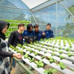 Aa19b7512a264b4c 768x576