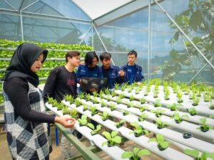 Aa19b7512a264b4c 768x576