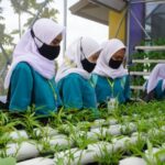 Caa692000464e694 768x432