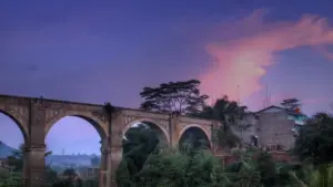 Large 3573210162 92daf97b79 k 4c2348c379f5166dae273bbde644b234