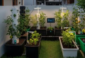 Urban farming