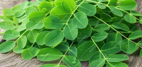 Screenshot 2026 08 05
