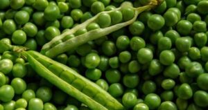 Screenshot 2026 08 06