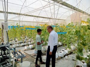 Green House FRC UGM Perluas Kerjasama Terima Kunjungan dari Swiss Belhotel Kulon Progo