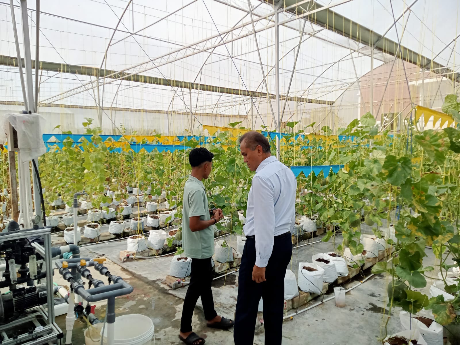 Green House FRC UGM Perluas Kerjasama Terima Kunjungan dari Swiss Belhotel Kulon Progo