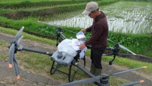 Bertani menggunakan drone di desa jatiluwih bali