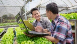 Petani muda sukses di era milenial