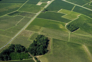 Pngtree aerial view of bordeaux vineyardfrance aerial view vineyards tree photo image