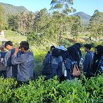 IMG 20260707
