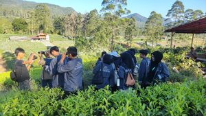 IMG 20260707