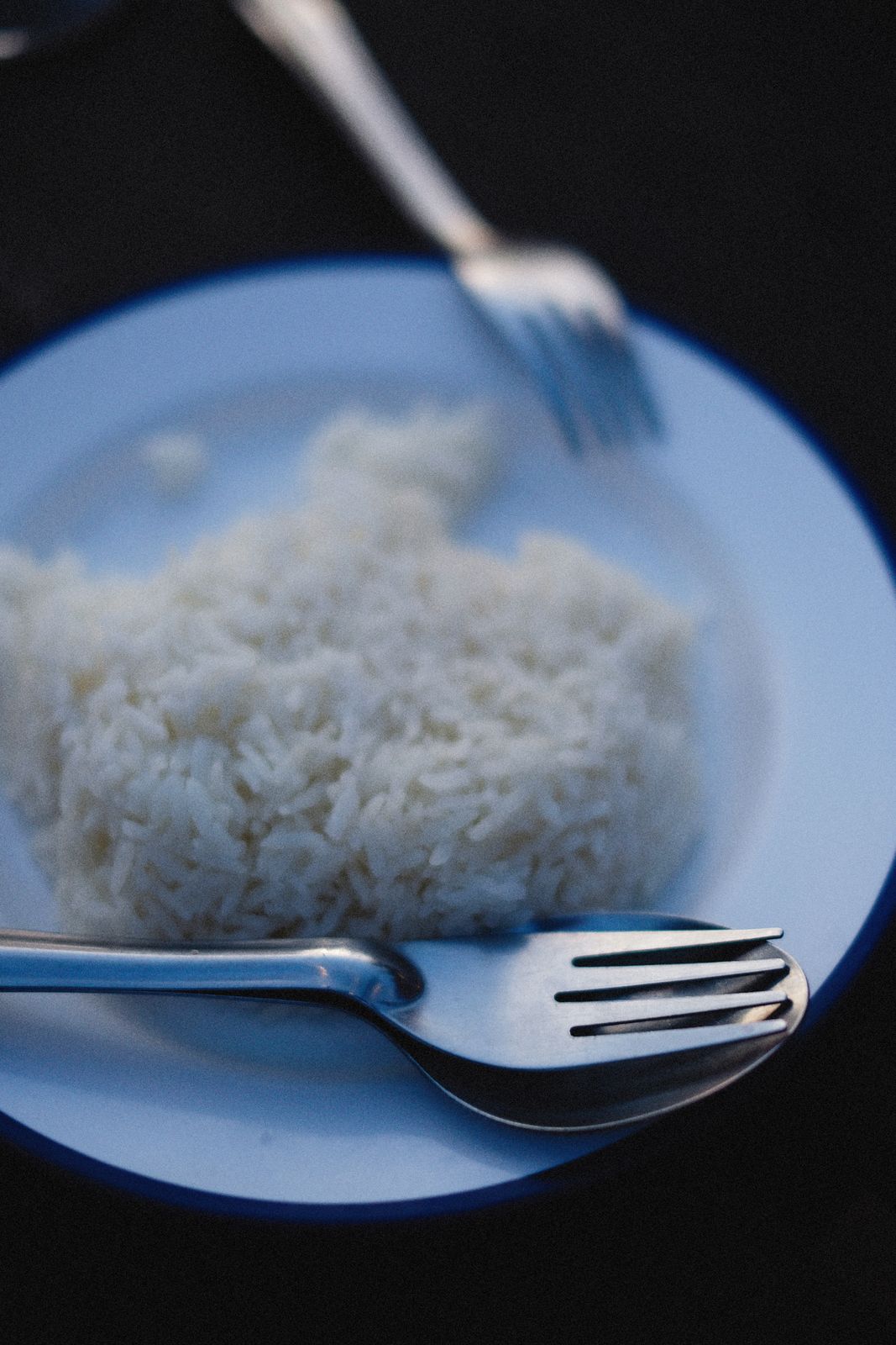 A close-up view of rice served with stainless steel fork and spoon on a plate.