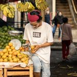 A fruit vendor arranges oranges at a busy market, surrounded by bananas and avocados.