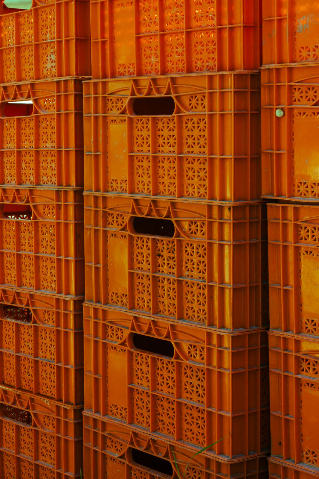 Close-up view of orange plastic crates stacked, ideal for industrial packaging concept.