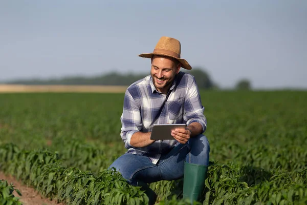 Depositphotos 489864960 stock photo attractive young farmer using modern