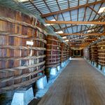 Explore a traditional wooden barrel storage cellar with large containers lined up inside an industrial facility.