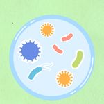 From above of decorative cardboard illustration of round shaped cell with bacilli and viruses on green background